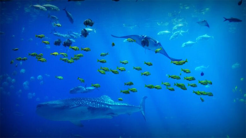 UPVC SUSTAINABILITY UPVC SUSTAINABILITY